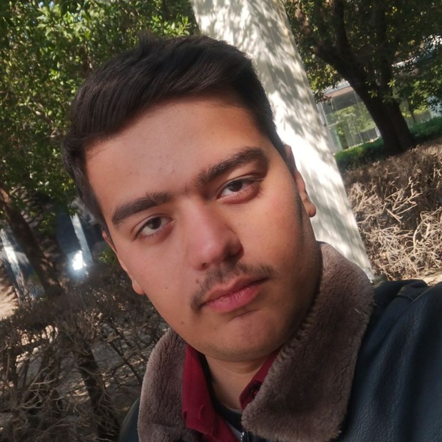 صورتي الشخصية